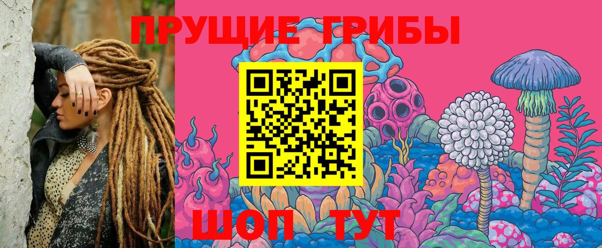 Галлюциногенные грибы Psilocybe Фролово
